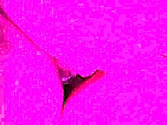 Той си пъхна пръста в задника ми докато ме чукаше