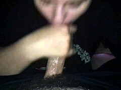 Amateurs engage in some casual cocksucking sessions