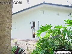 Step-sis gets banged hard outside in hardcore scene