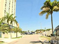 Perverted Gay Sex: Intense Homo Encounters With Big Cocks And Anal Fun