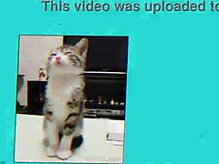 How Bad Is Tsui No Sora Hentai?