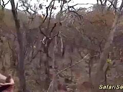 Extreme African safari fetish sex, take it deep!