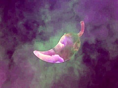 Longa Metragem De Anal No Cavalinho!