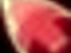 Honeysun Walkthrough Hgame