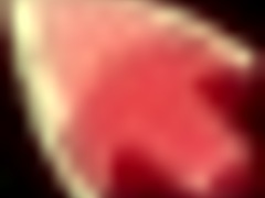 Honeysun Walkthrough Hgame