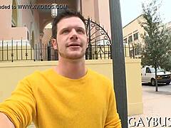 Dilettante Explores Homo Sex