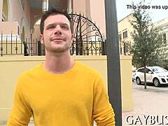 Dilettante Explores Homo Sex