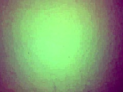 rica mamada de mi colombiana con tetas grandes y culazo