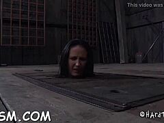 In this free sadomasochism porn, the slut gets her pussy fucked roughly