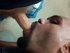 Married man gives blow job in the bathroom at work
