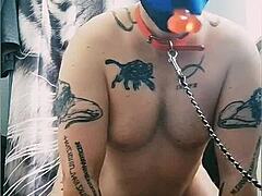 gaywolf engages in raw activities with mastino grande.