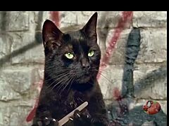 good girl takes big black cock in ass