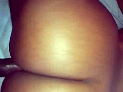 What makes these backshots perfect?