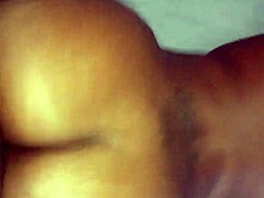 What makes these backshots perfect?