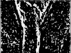 Motel Reedit In Cartoon Anime Hentai Style