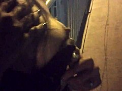 Sandy Cortez Sucks Outdoors