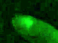 she takes huge dildo