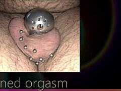 Chastity for husbands: A kinky wife's guide to control