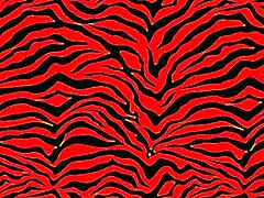 Petite vs Big Booty Battle, Who Moans Louder?