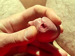 Edging fra slatten til leg med forspil i naturligt lys