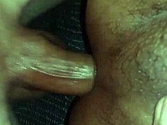 adolfo fucks elpa's tight ass 😈