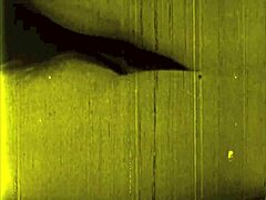 Vintage erotic illustration collection