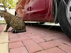 Top 5 Countries with Loudest Stomach Rumbles