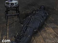 Hardcore Sadomasochism with Sloppy Blowjob and Doggy Domination