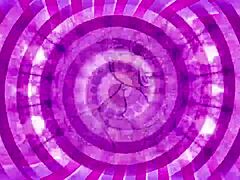 Slippery Wet Sissification Training Guide