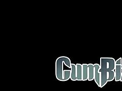 big ass cute bunny slammed balls deep!