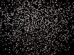 vietnamese beauty with stunning big tits on display