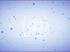 vietnamese beauty with stunning big tits on display