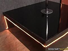 Gloryhole slut Maserati takes white cocks in outdoor fetish!