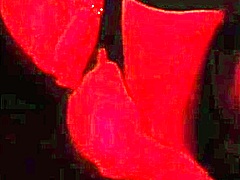 paguei boquete a noite toda pro velho tarado