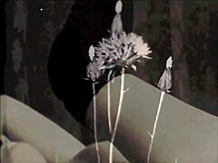 vintage erotic drawings spark curiosity