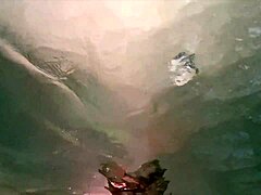 Pretty pink peacock in outdoor setting