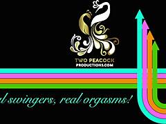 Pretty pink peacock in outdoor setting