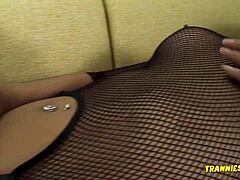 trannies r us showcases asian shemale’s solo delight.