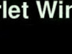 i can’t get enough of my toy during solo time as a busty teacher