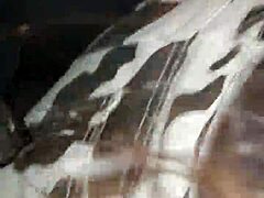 Rico's seventh installment of close encounters.