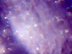 Here's More of My Cum, Enough to Get You Pregnant