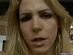 I stroke my schlong as a foxy blonde shemale