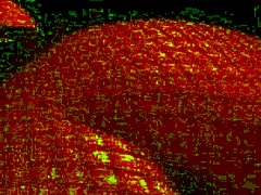 kanedamaaka so exicted he rips my leggings apart