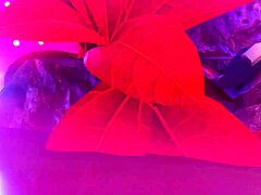 Two girls lick and fuck squirting pussies