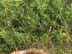 Amadores metem bruto ao ar livre, quase pegos