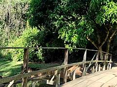 Fucking Behind The Trees In A Public Park With A Big Black Cock