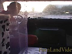 Krystal gives sexy blowjob to big cock