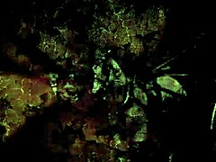 vintage erotic animation features hairy doggystyle scenes from antique times