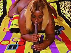 Sundaydogood614 shares an update on November 3, 2024.