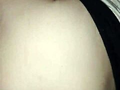 Black bull dominates ravishing ray in the car